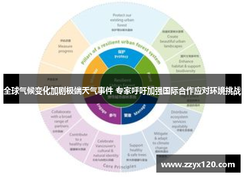 全球气候变化加剧极端天气事件 专家呼吁加强国际合作应对环境挑战